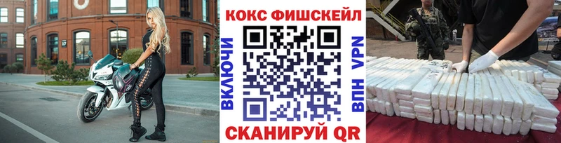 COCAIN Fish Scale  закладки  Екатеринбург 
