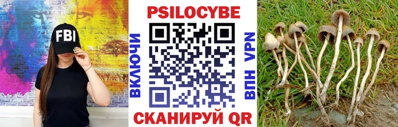 Псилоцибиновые грибы MAGIC MUSHROOMS  kraken ONION  Екатеринбург 